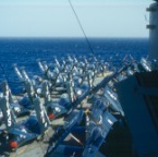 4-029 [Flight Deck USS Philippine Sea CVA-47]
