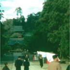 1-063 [Japanese Shrine-Karizaru]