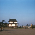 1-091 [Japanese Pagoda]