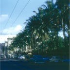 4-071 [Honolulu, Hawaii]